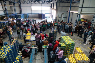 Başkan Soydan, narenciye sektörü çalışanlarıyla buluştu projelerini açıkladı