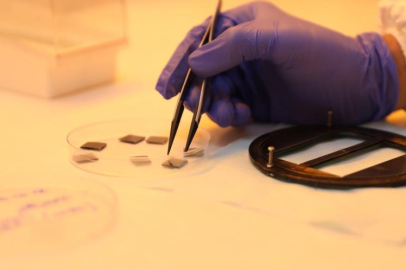 Doç. Dr. Yavuz Atasoy, hücre verimini yüzde 40 seviyesinde artırmayı başardık