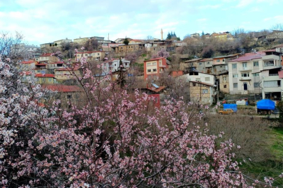 Tunceli'nin ilçelerinde, kış ile bahar aynı anda yaşanıyor