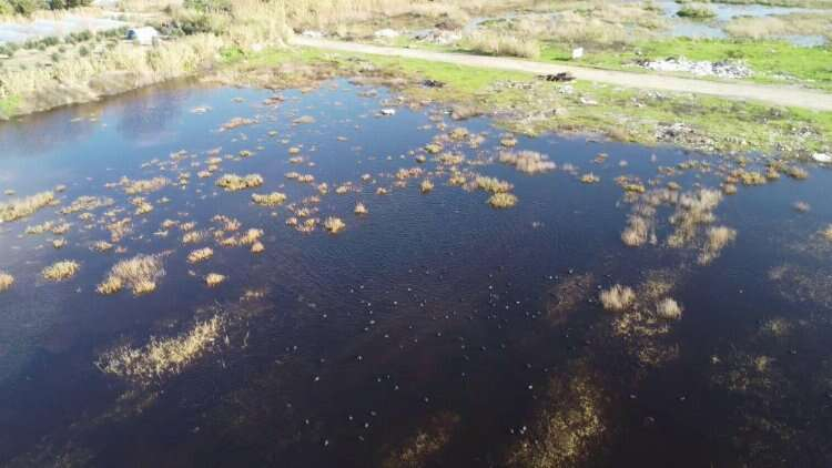 Mileyha Sulak Alanı