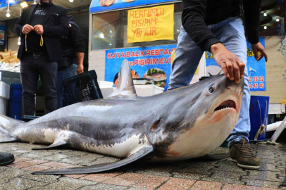 Adana'nın Karataş İlçesinde balıkçıların ağılarına dev kılıçbalığı takıldı