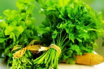 Maydanoz çiğnemenin bilinmeyen faydaları