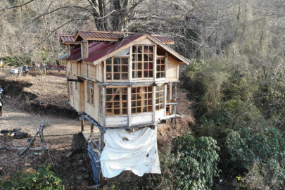 Rize'de 150 yıllık ağacın gövdesine ev yapıldı