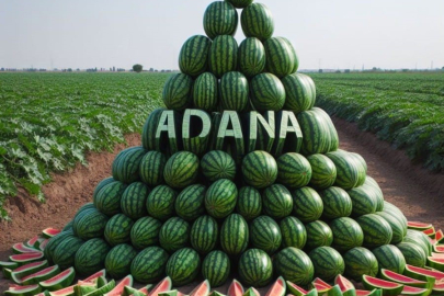 Adana, 2023 yılında karpuz üretiminde Türkiye birincisi olduğunu açıkladı