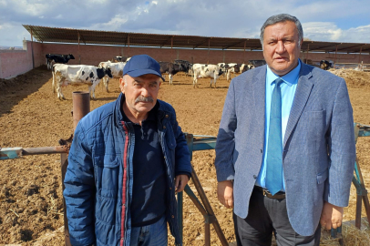 Gürer: Hayvancılık büyük işletmelerin dışında bitmektedir