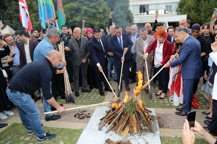mersin üniversitesi