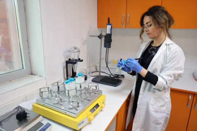 Muğla'da yapılan çalışmada , denizanalarının zehrini kanser araştırmalarında kullanıyor