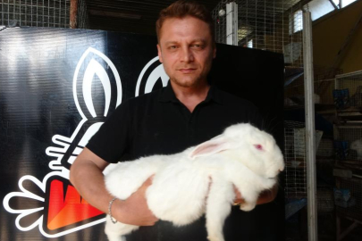 Çukurova Üniversitesi, Adana'da tavşanların endüstriyel üretimini başlatıyor