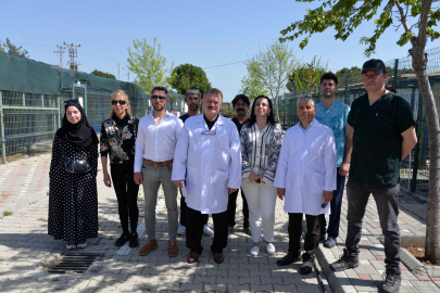 Nihat Köse; Sokak hayvanları sorunu ortak hareketle çözülmeli