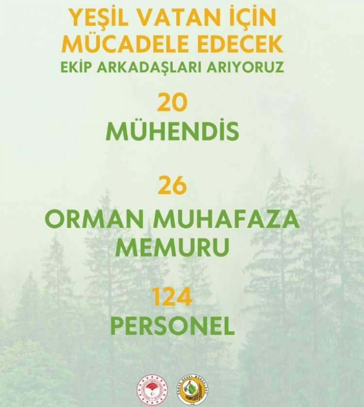 ORMAN GENEL MÜDÜRLÜĞÜ