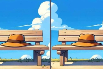 Resimdeki şapkada 3 fark var! Einstein zekasına sahip olanlar 7 saniyede buluyor