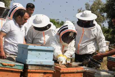Mersin'de 'Narenciye Balı Hasat Şenliği'nde yılın ilk hasadı gerçekleştirildi