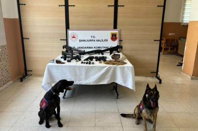 Şanlıurfa'nın Siverek ilçesinde jandarma operasyonu