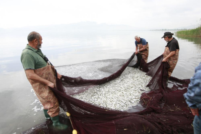 İznik Gölü'nde gümüş balığı sezonu hız kazandı