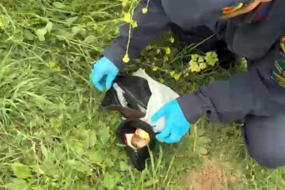 Sakarya'nın Geyve ilçesinde sokak köpeği sahipsiz çantayı alarak gitti