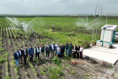 Azeri Bakan Mammadov, Yedigöze İmamoğlu Sulama proje sahasını inceledi