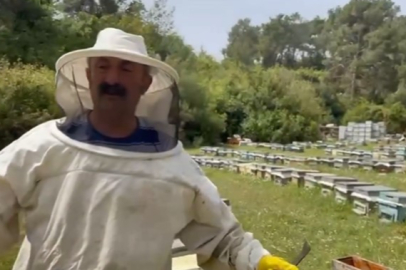 Fatih Mehmet Maçoğlu seçimi kaybettikten sonra arıcılıkla uğraşmaya başladı