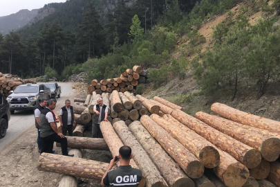 İstife alınan orman ürünleri kontrol edildi