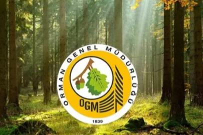 Orman Genel Müdürlüğü 496 sözleşmeli personel alacak! Orman Bakanlığı 496 sözleşmeli personel alımı şartları neler?