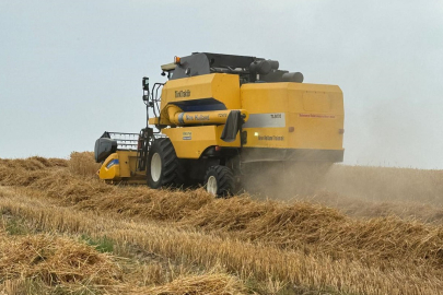 Hasat sırasındaki dane kayıpları, tarla kontrolleriyle önlenecek