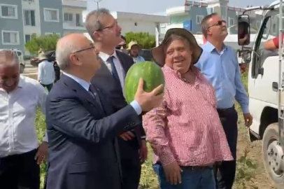 Adana Valisi Yavuz Selim Köşger, karpuz hasadında işçilere katıldı
