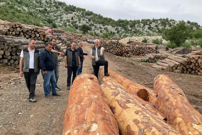 Adana Orman Bölge Müdürü Yılmaz, Pos'ta ormancılık faaliyetlerini inceledi