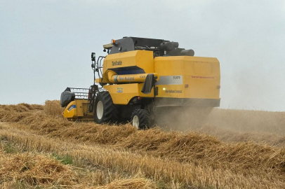 Osmaniye'de buğday hasadı başladı