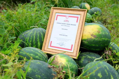 Adana'da tescilli karpuzun marka değeri 'Ham Karpuz Timleri' tarafından korunuyor