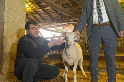 Eskişehir'de Kurban Bayramı öncesi küçükbaş fiyatları artıyor