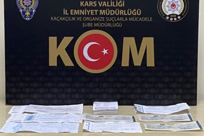 Kars'ta tefeci operasyonunda 4 kişi gözaltına alındı