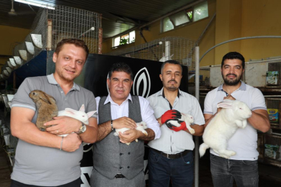 Öğretmenliği bıraktı tavşana yatırım yaptı