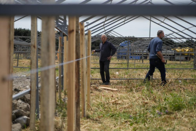 İstanbul'da kurban satış ve kesim alanları kurulmaya başlandı