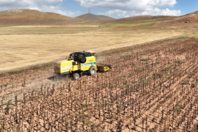 Tarım-ÜFE Ekim verileri açıklandı: Yıllık artış yüzde 45'i aştı