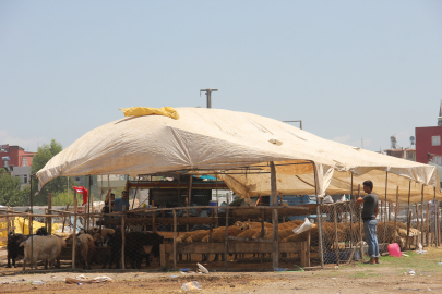 Adana'da kurbanlık kilogram fiyatları uzun tartışmaların ardından belli oldu