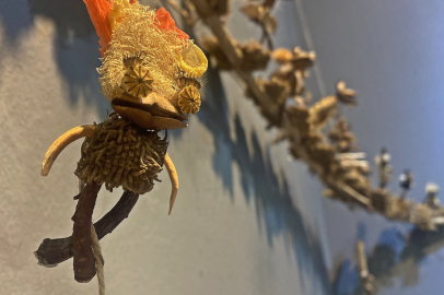 Mersin'de bitkilerden yapılan heykeller sanatseverlerle buluştu