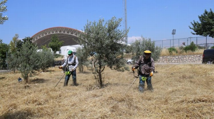 Abdurrahman Yıldız