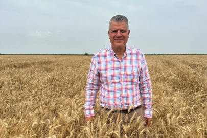 Ayhan Barut: Buğday fiyatı 15 lira olmalı