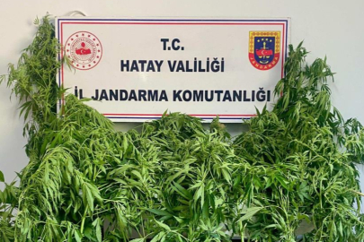 Hassas burunlu jandarma köpeğinin yasaklı madde bulduğu anlar kamerada
