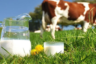 Tarsus Belediye Başkanı Boltaç: Sağlıklı nesiller ve parlak bir gelecek için çalışıyoruz