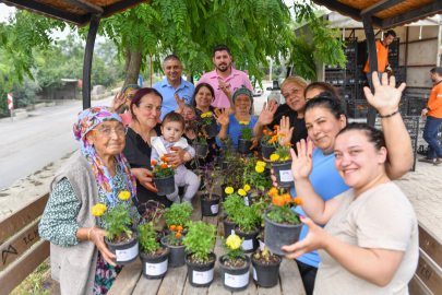 Tıbbi ve aromatik bitkilerle sinek mücadelesi