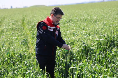 Tarım ve Orman Bakanı: "Tarım Cebimde" ile gıda güvenirliği artıyor