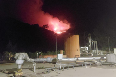 Aydın'da çıkan orman yangınına müdahale sürüyor