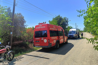  Kocaeli'nin Karamürsel ilçesinde ağaca asılı bulundu 