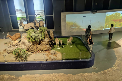 Çukurova Biyoçeşitlilik Tanıtım Merkezi, ziyaretçi akınına uğruyor