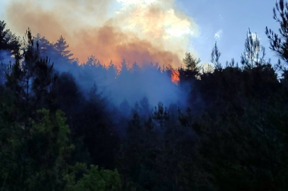 Çukurova'da orman yangınlarıyla mücadelede 528 gölet ve havuz kullanılıyor