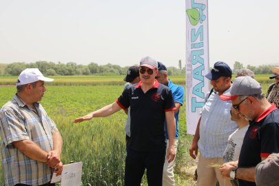 Eskişehir'de Tarla Günü: 12 Yeni buğday çeşidi tanıtıldı