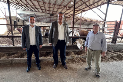 Gürer: “Vatandaş kurban alamaz hale geldi”