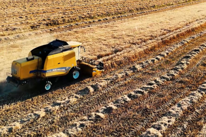Mardin Kızıltepe'de Bayramda devam eden hasat sezonu dron ile görüntülendi