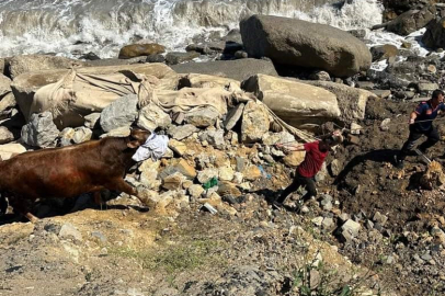 Zonguldak Kozlu'da kaçan kurbanlık boğa deniz macerası yaşadı