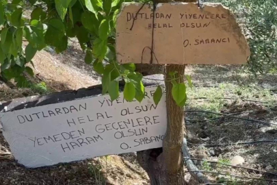 Bursa'da çiftçi dut ağacına yazı astı